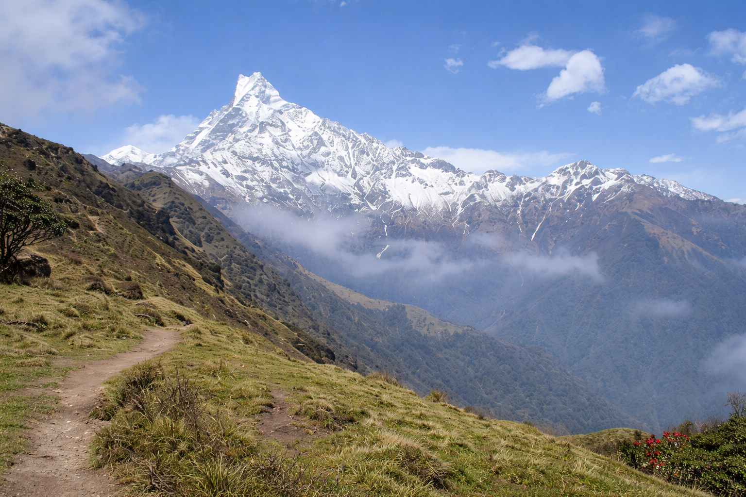 Mardi Himal Trek trekking route